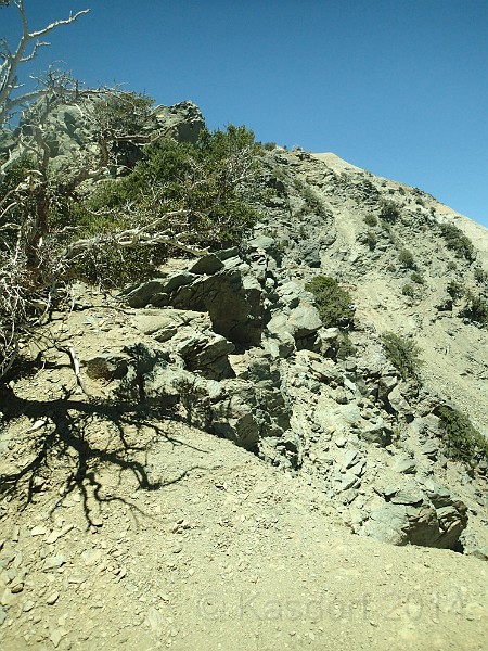 2014 Mt Baldy Cali 107.JPG - Summit Mt San Antonio (Mt Baldy) California